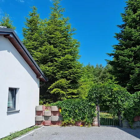 Pod Cisem Na Wylacznosc *