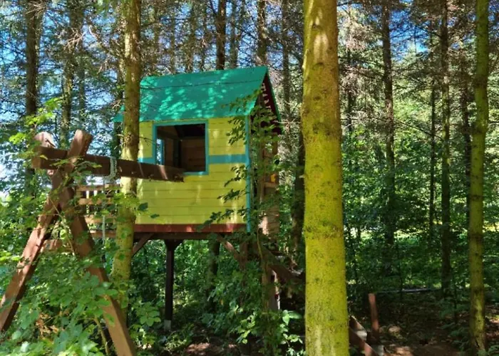 Pod Cisem Na Wylacznosc