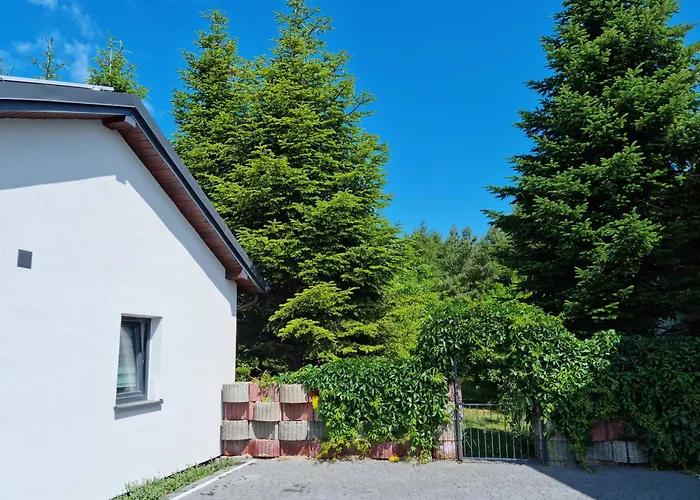 Pod Cisem Na Wylacznosc *